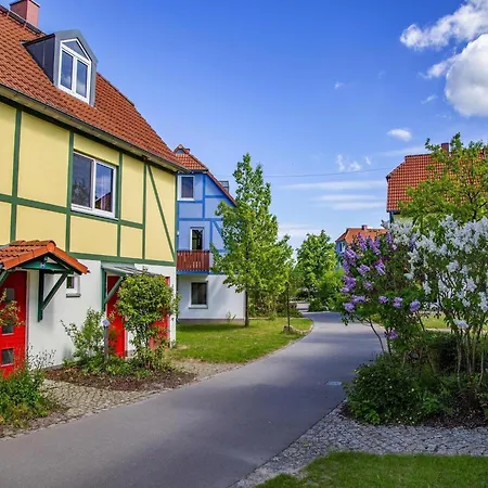 Complex Beech Fleesensee G Hren Lebbin Apartment