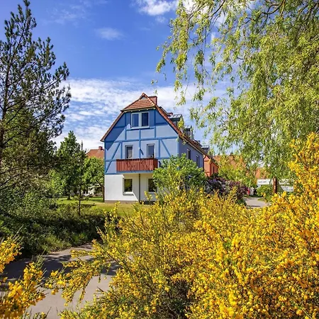 Complex Beech Fleesensee G Hren Lebbin Apartment *