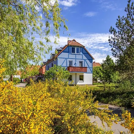 Complex Beech Fleesensee G Hren Lebbin Apartment