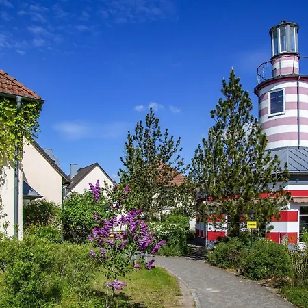 Complex Beech Fleesensee,