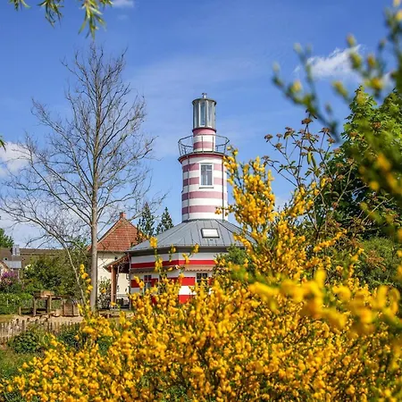 Complex Beech Fleesensee,
