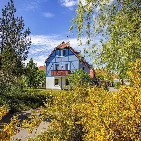 Complex Beech Fleesensee, * Göhren-Lebbin