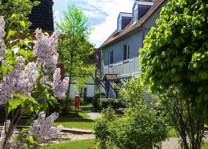 Complex Beech Fleesensee, Apartamento Göhren-Lebbin