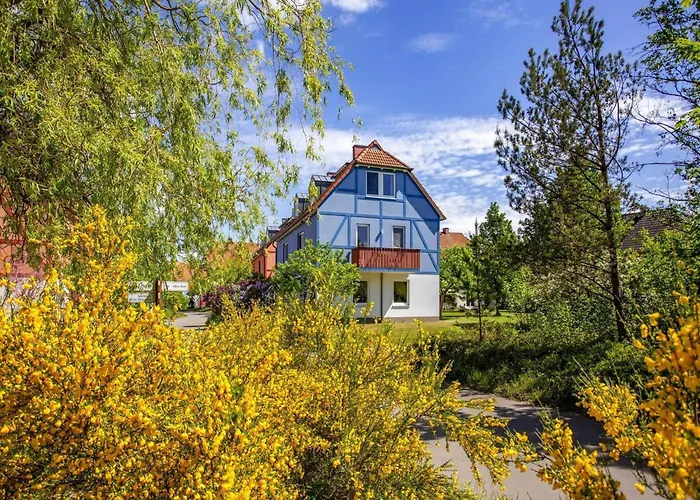 Complex Beech Fleesensee, Apartamento